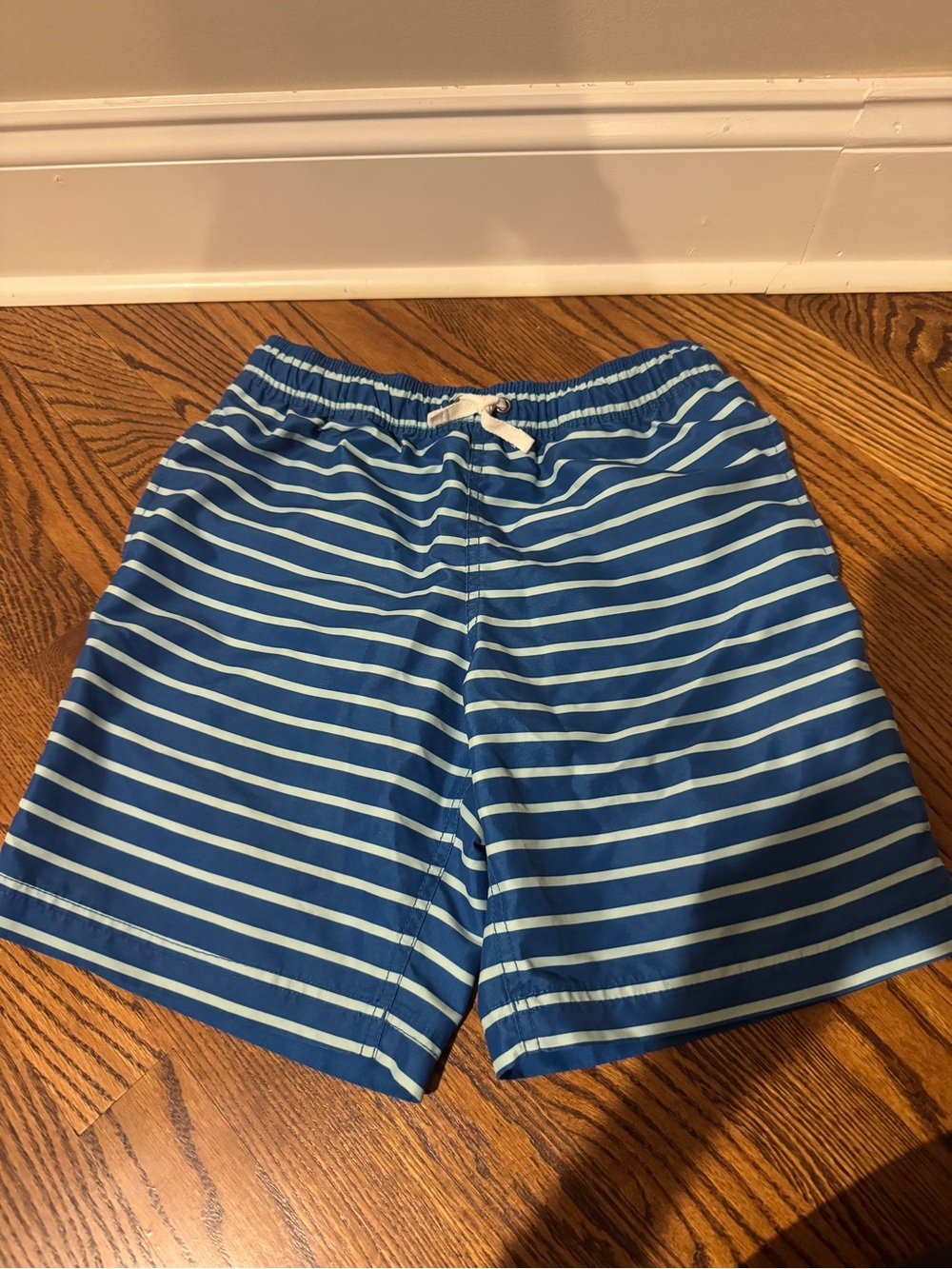 Hanna Andersson Blue Striped Swim Shorts